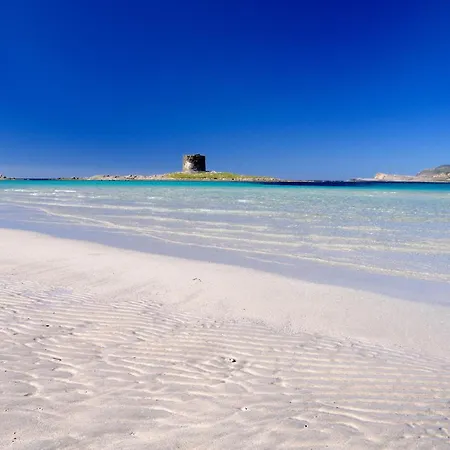 Monolocale Italia