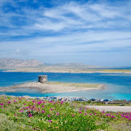 Monolocale Italia Tergu